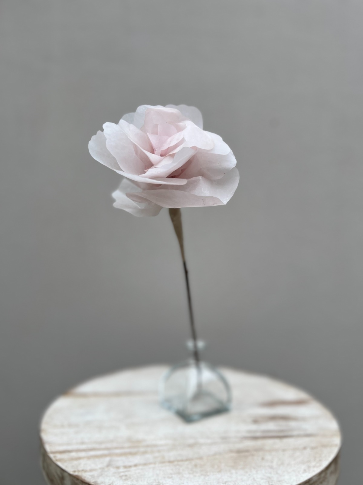 Flores de Papel Manteca